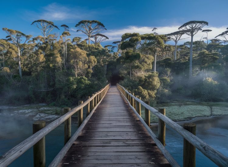 Ponte nova sobre o rio